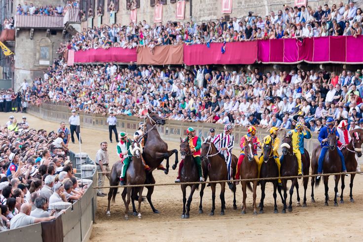 LIVE THE PALIO